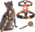 BINGPET Cat Harness with Airtag Holder, Escape Proof for Walking Outdoor