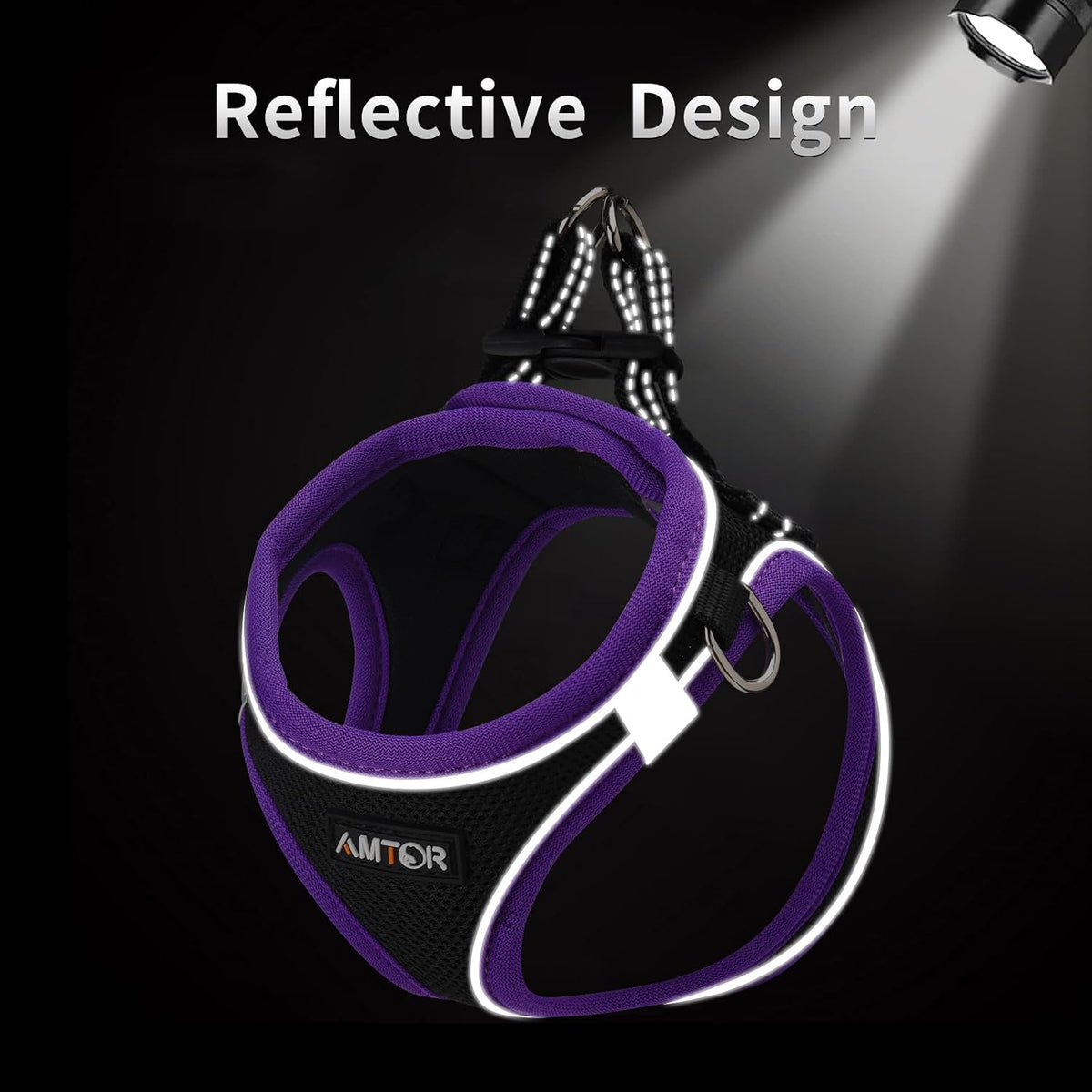 AMTOR Small Dog Harness with Leash Set, No Escape Easy Walk Puppy Harnesses for Training Walking, Step-in Reflective Soft Dogs Vest for XS S Medium Extra-Small Large Sized Dog(Black/Purple,XS)