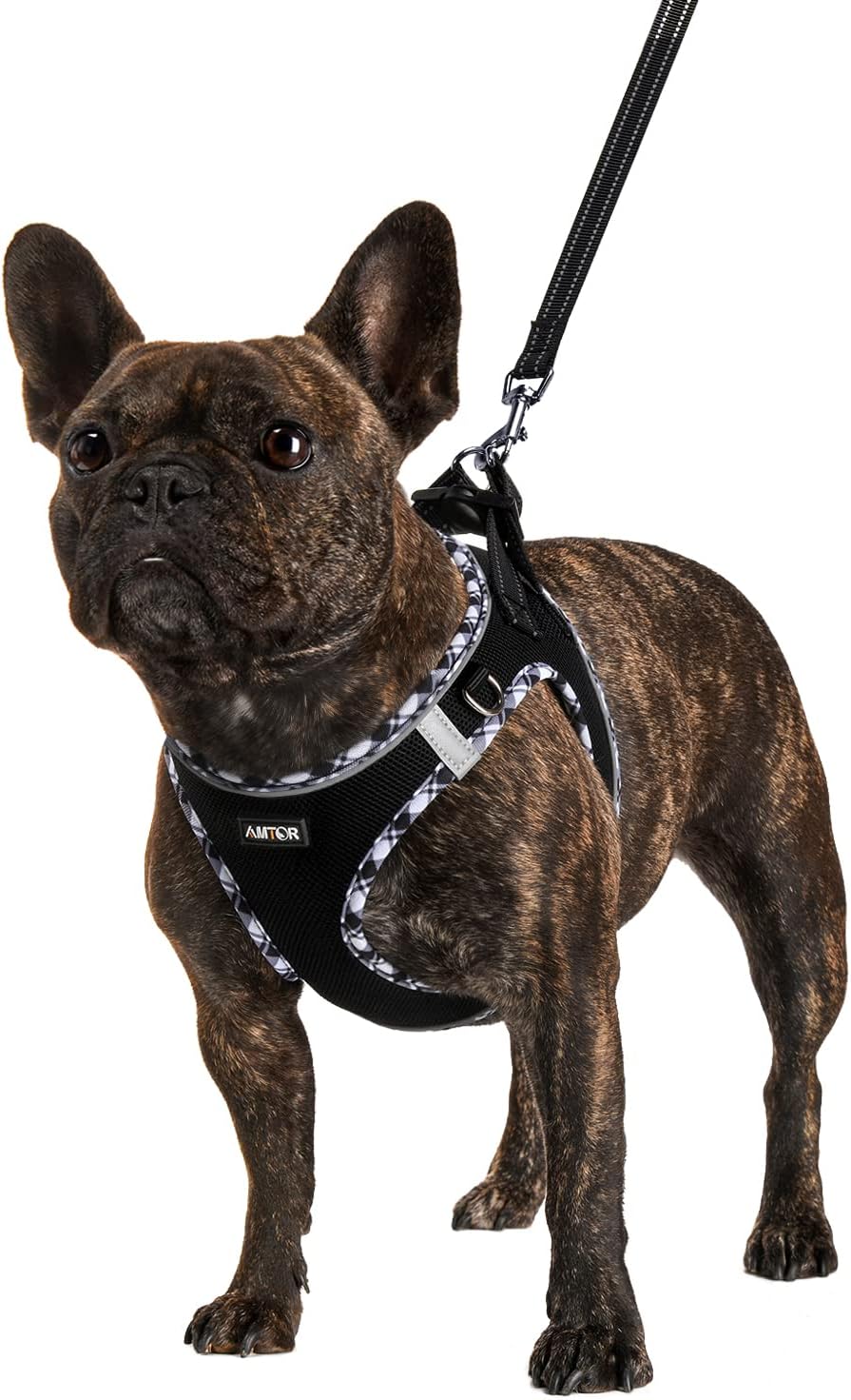 AMTOR Small Dog Harness with Leash Set, No Escape Easy Walk Puppy Harnesses for Training Walking, Step-in Reflective Soft Dogs Vest for XS S Medium Extra-Small Large Sized Dog(Black/GreyWhite,S)