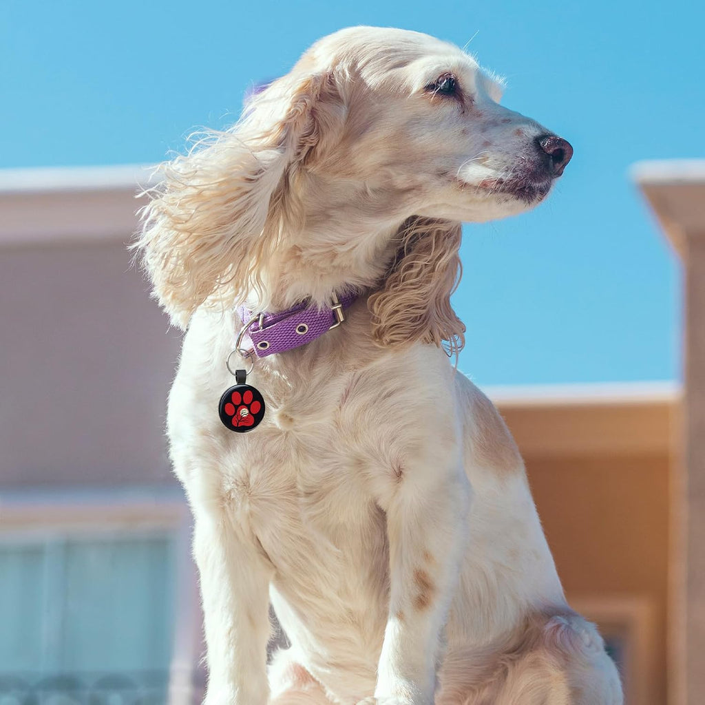 MYLUCKYTAG QR Code Pet ID Tags Dog Tags - Pet Online Profile - Scan QR Receive Instant Pet Location Alert Email, 1.2 inch, Red Paw