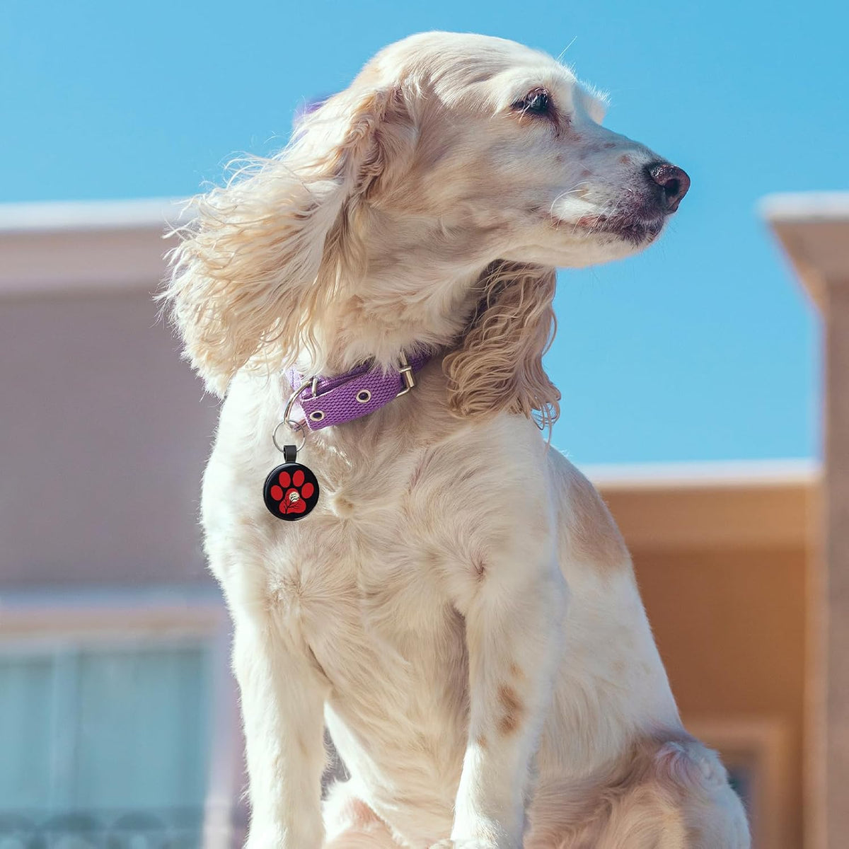 MYLUCKYTAG QR Code Pet ID Tags Dog Tags - Pet Online Profile - Scan QR Receive Instant Pet Location Alert Email, 1.2 inch, Red Paw
