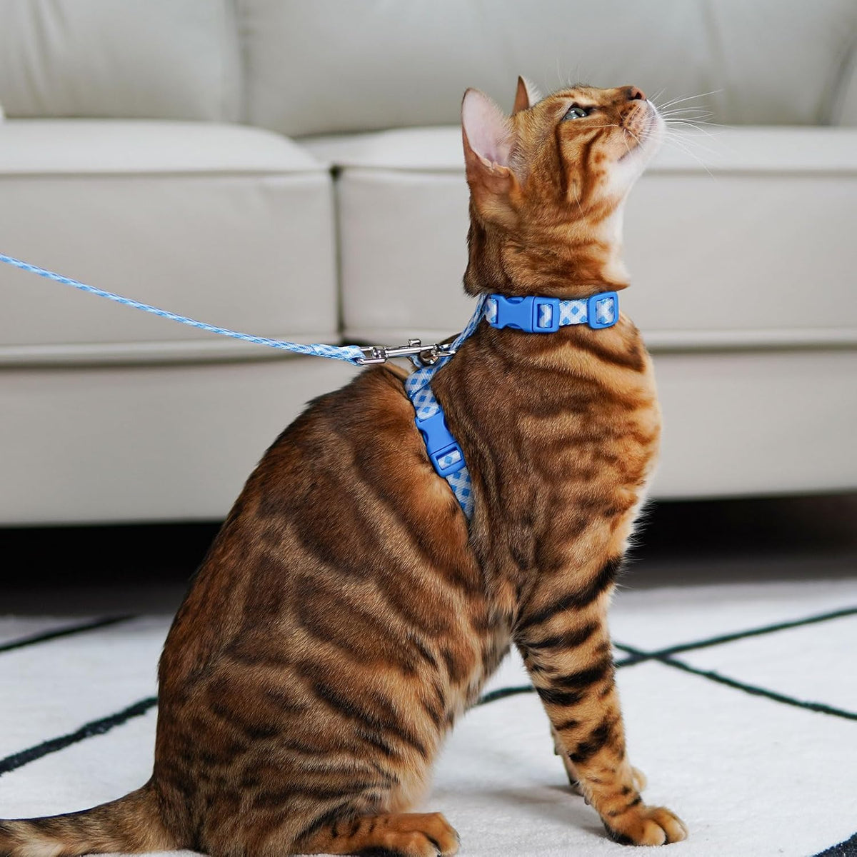 azuza Cat Harness and Leash Set, Escape Proof for Safe Walking, Blue Plaid