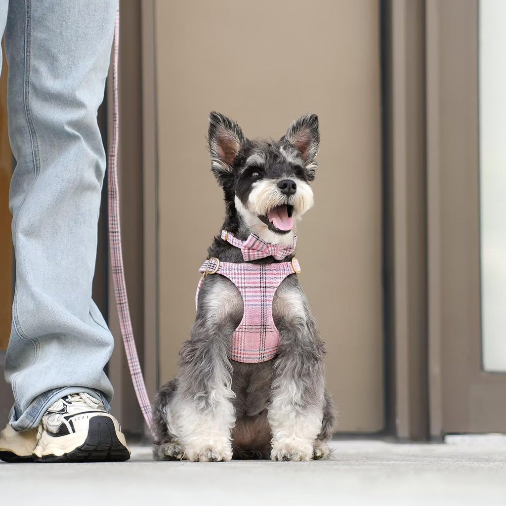 Beirui Cute Small Dog Harness and Leash Set Bowtie, Pink,S,Chest 17-23"