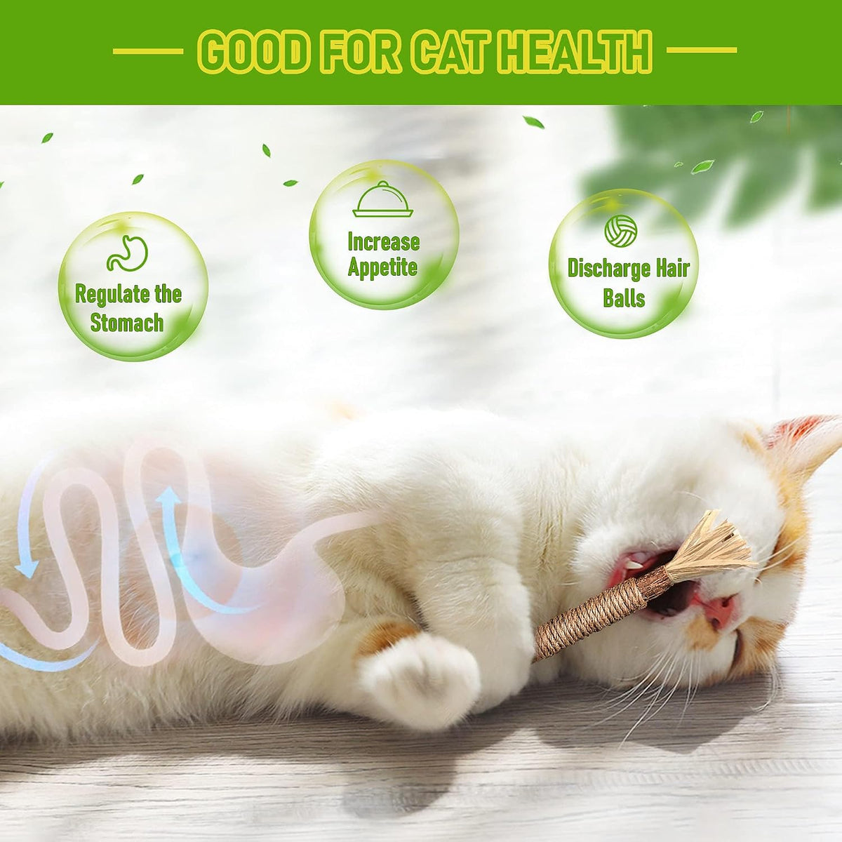 Silvervine Sticks Cat Chew Toys for Indoor Cats Dental Care Teeth Cleaning, Natural Kitten & Cat Teething Toys for Health, Cat Chew Stick Treat Edible Suitable for All Breeds of Aggressive Chewers Cat