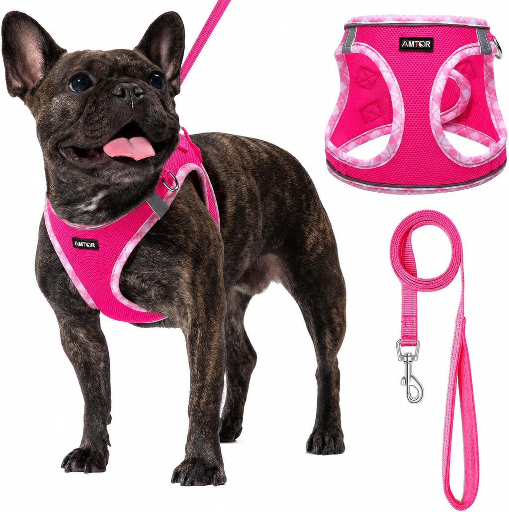 AMTOR Small Dog Harness with Leash Set, No Escape Easy Walk Puppy Harnesses for Training Walking, Step-in Reflective Soft Dogs Vest for XS S Medium Extra-Small Large Sized Dog(Fuchsia,XL)