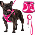 AMTOR Small Dog Harness with Leash Set, No Escape Easy Walk Puppy Harnesses for Training Walking, Step-in Reflective Soft Dogs Vest for XS S Medium Extra-Small Large Sized Dog(Fuchsia,XL)