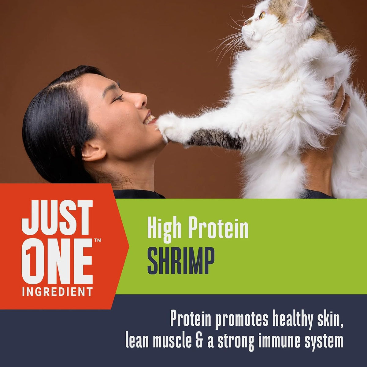 Whole Life Cat Just One Shrimp Freeze Dried Cat Treats - .7 oz (Pack of 1)