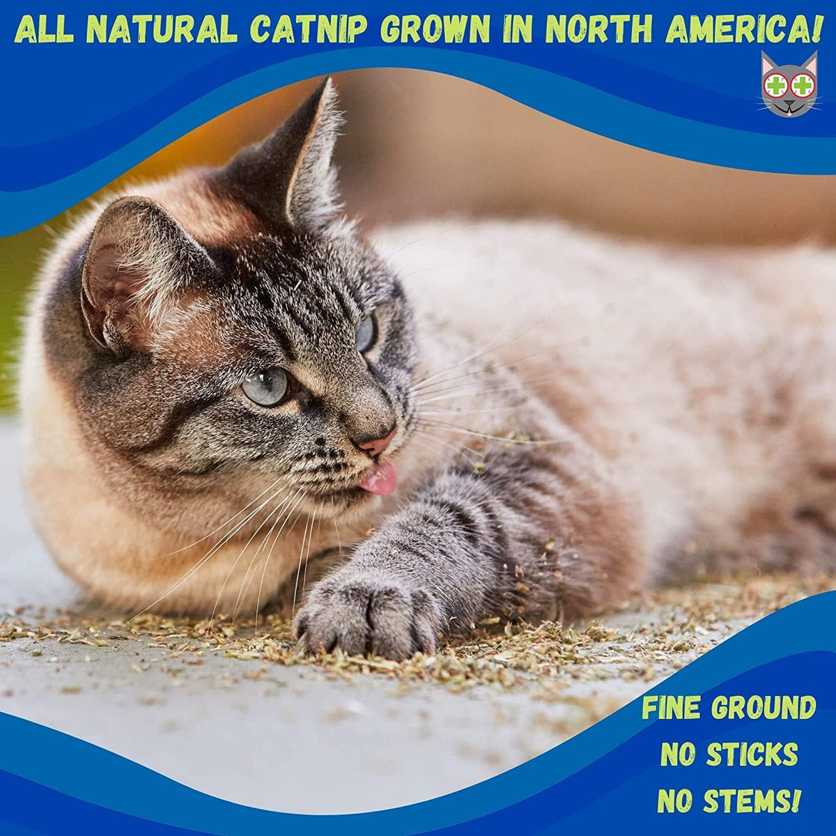 Smokey's Stash Catnip Stalkless Dried Ground Premium Bulk 6 Ounce Bag Strong Cat nip for Cats…