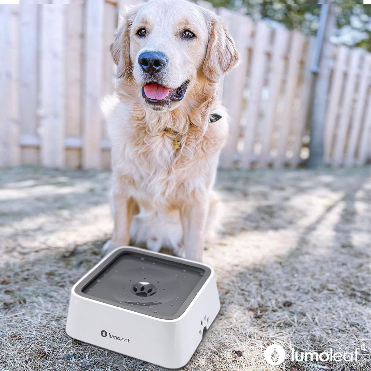 LumoLeaf No Spill Water Bowl for Dogs with Filter, 70oz/2L, Slow Feeder for Messy Drinkers, Drip-Free & Splash-Proof Design (Grey, 70 fl oz) (Grey 70 fl oz) 