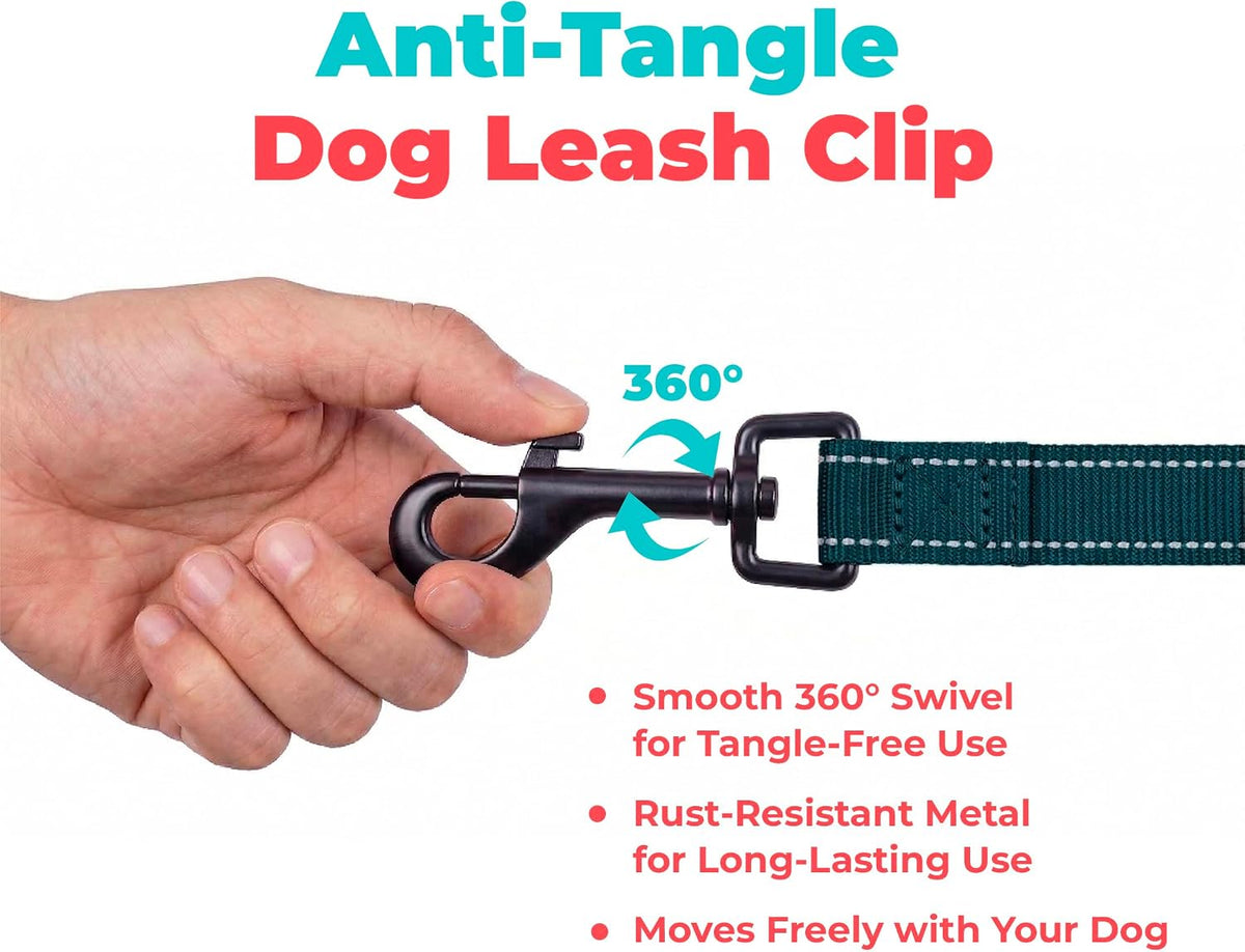 Best Pet Supplies Voyager Nylon Dog Leash - Blue, Small
