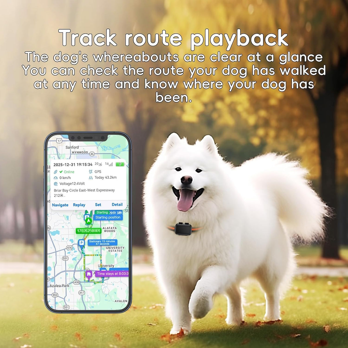 GPS Tracker for Dogs, 4G Waterproof Pet Tracker, Small