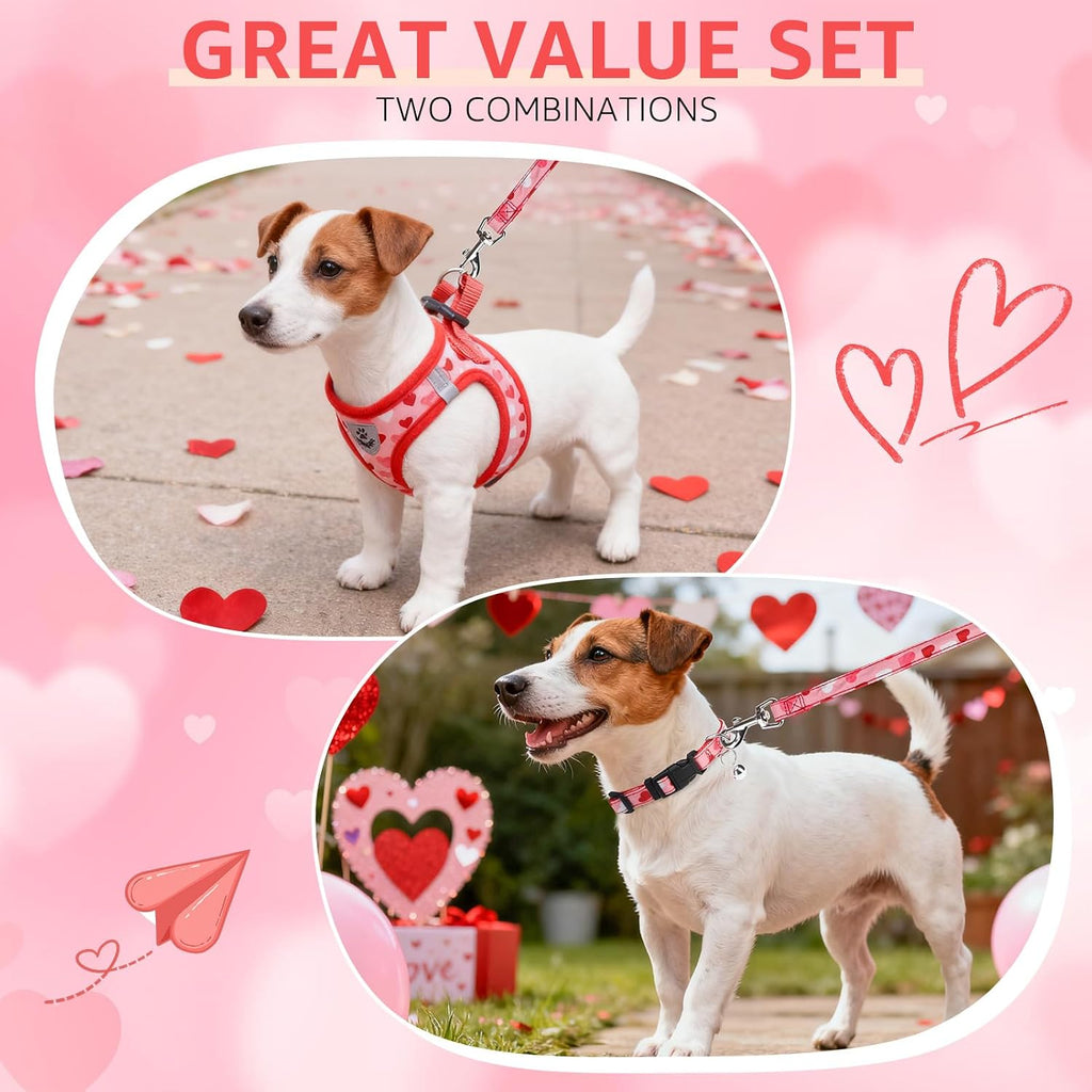 SCENEREAL Valentines Small Dog Harness Collar and Leash Set,Step-in No Pull