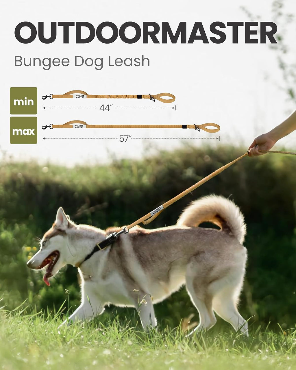 OutdoorMaster Bungee Dog Leash with Shock Absorption, Seatbelt-Buckle