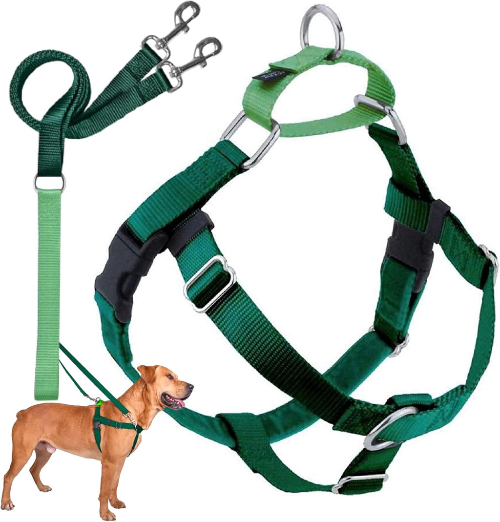 2 Hounds Design Freedom No Pull Dog Harness and Leash, 5/8" MD, Kelly Green