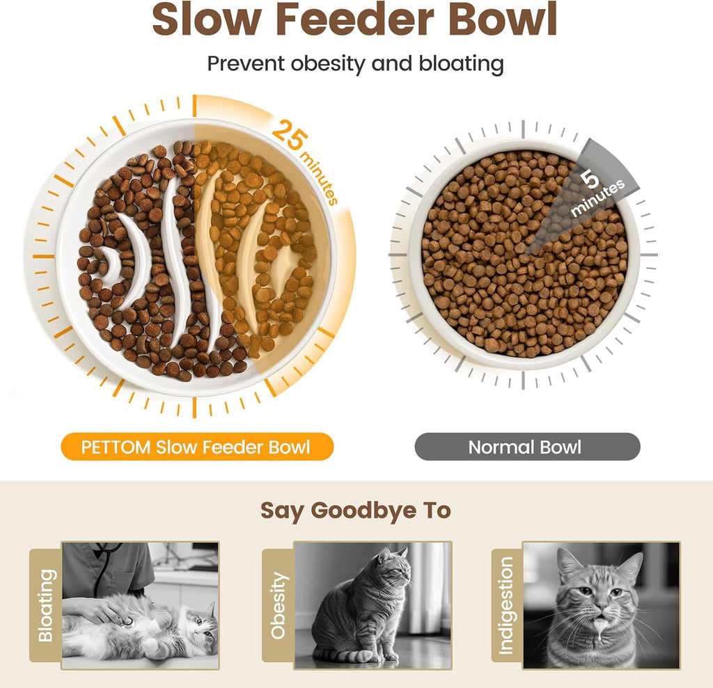 PETTOM Slow Feeder Cat Bowl Elevated Ceramic with Bamboo Stand, Fishbone