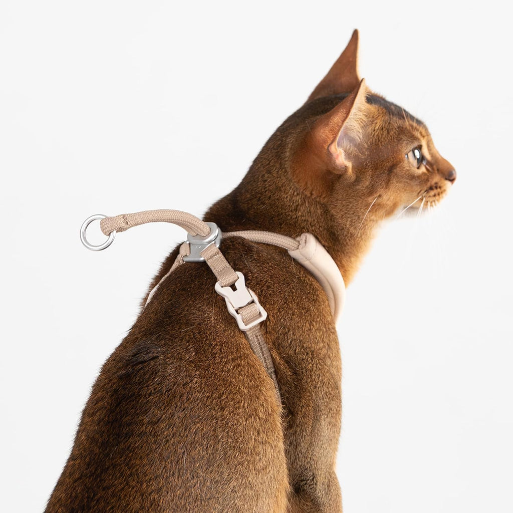 Escape Proof Y Shape Cat Harness Anti-Choke (Blush Pink, M)
