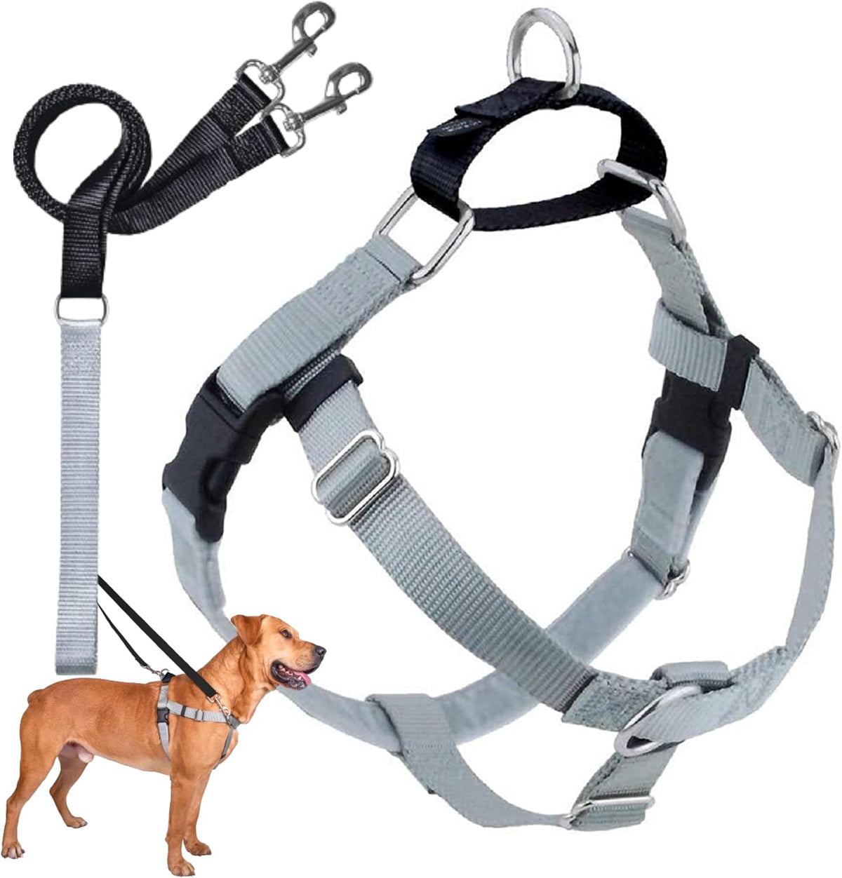2 Hounds Design Freedom No Pull Dog Harness and Leash, 1" LG, Silver