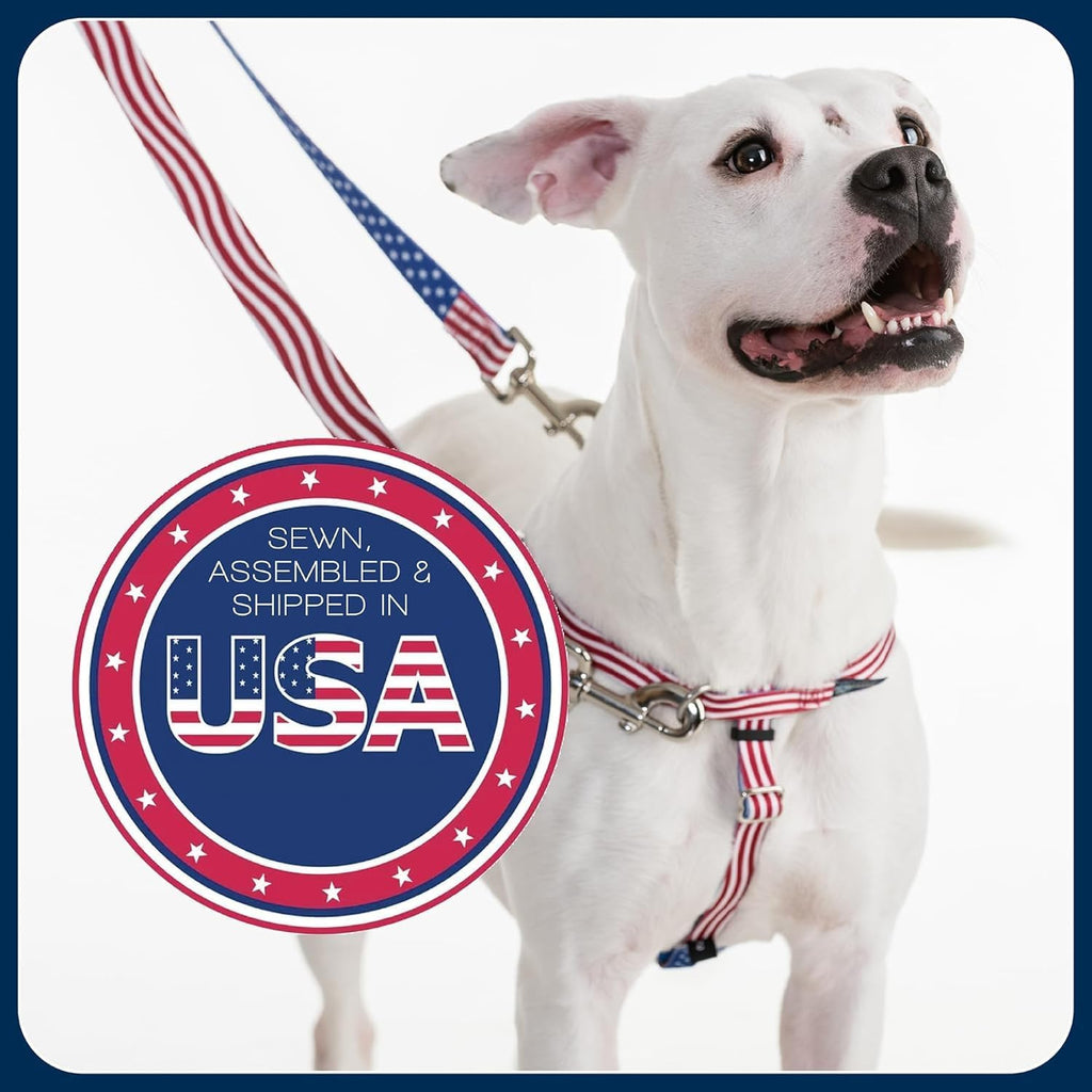 2 Hounds Design Freedom No Pull Dog Harness and Leash, 1" LG, Teal