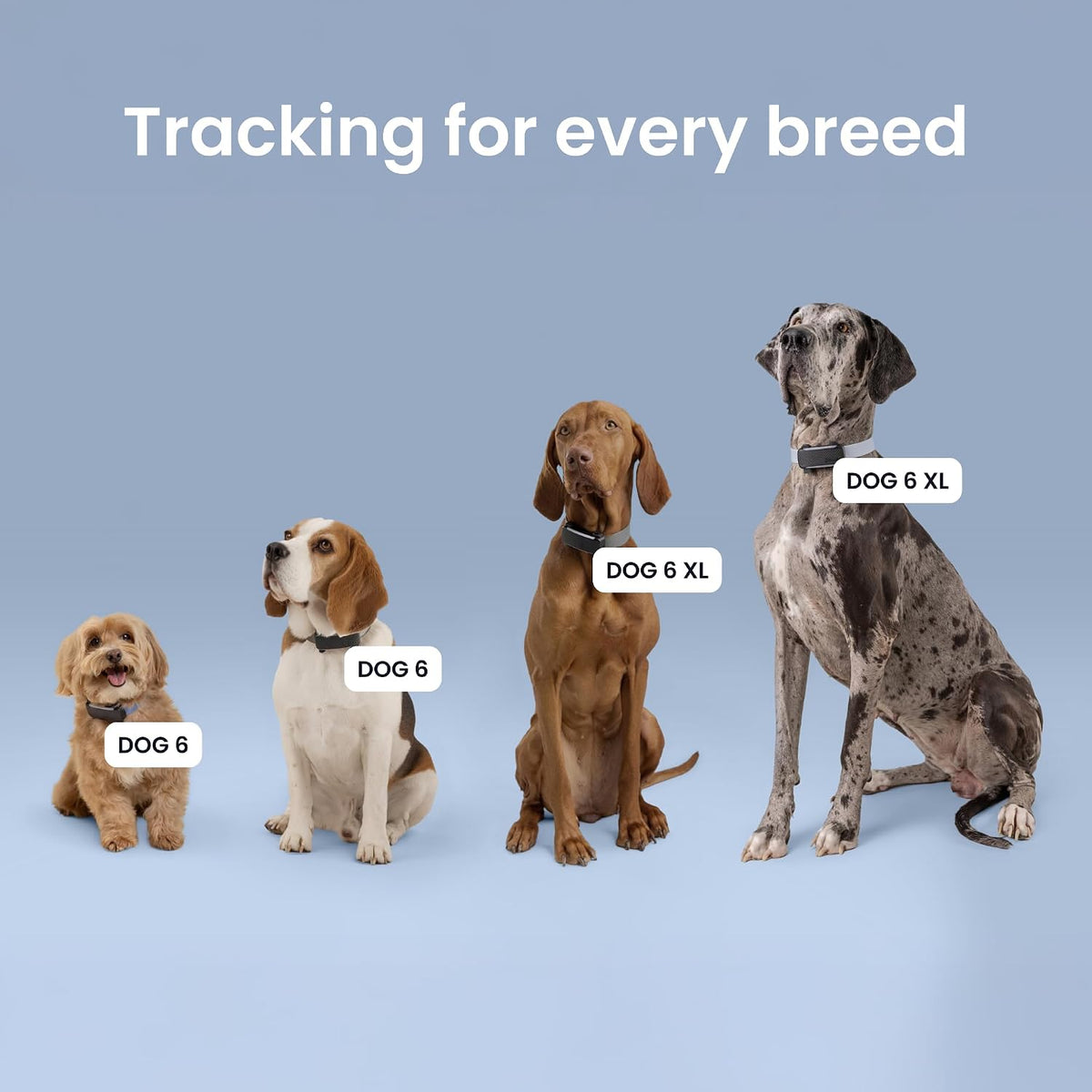 Tractive XL Smart Dog GPS Tracker | Live Pet Tracker with Virtual Fence | Vital Signs Monitoring of Heart & Respiratory Rate | Up to 6-Weeks Battery Life | Dog Collar Attachment (Black)