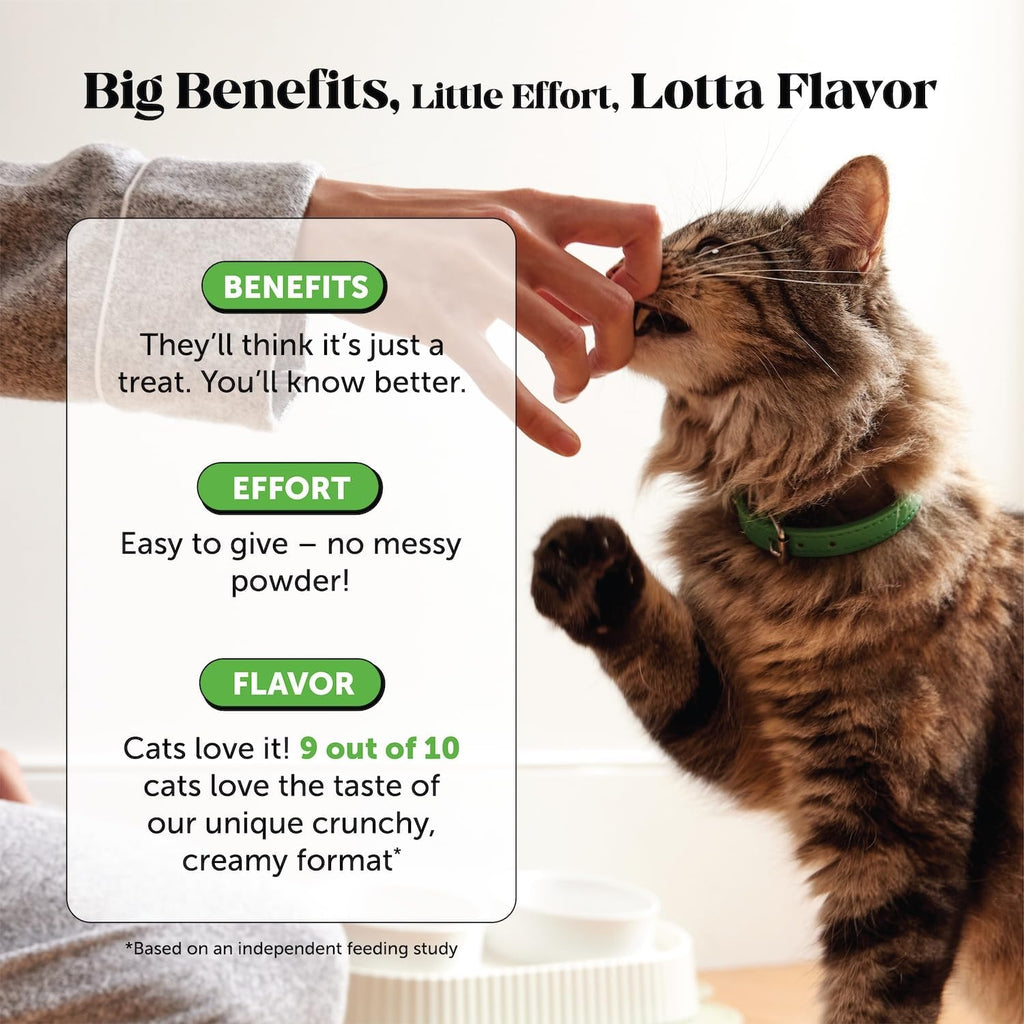Pet Honesty Vet Backed Cat Hairball Remedy Chews, Chicken, 30-Day Supply