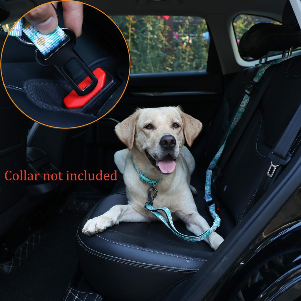 Hands Free Dog Leash, No Pull Bungee Dog Running Waist Leash, with Car Seat Belt, Reflective Stripes, Heavy Duty for Medium and Large Dogs. (Daisy Green, Large)