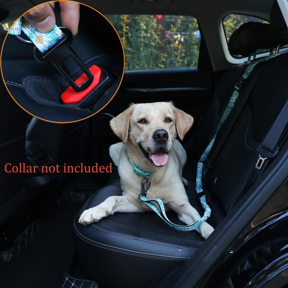 Hands Free Dog Leash, No Pull Bungee Dog Running Waist Leash, with Car Seat Belt, Reflective Stripes, Heavy Duty for Medium and Large Dogs. (Daisy Green, Large)