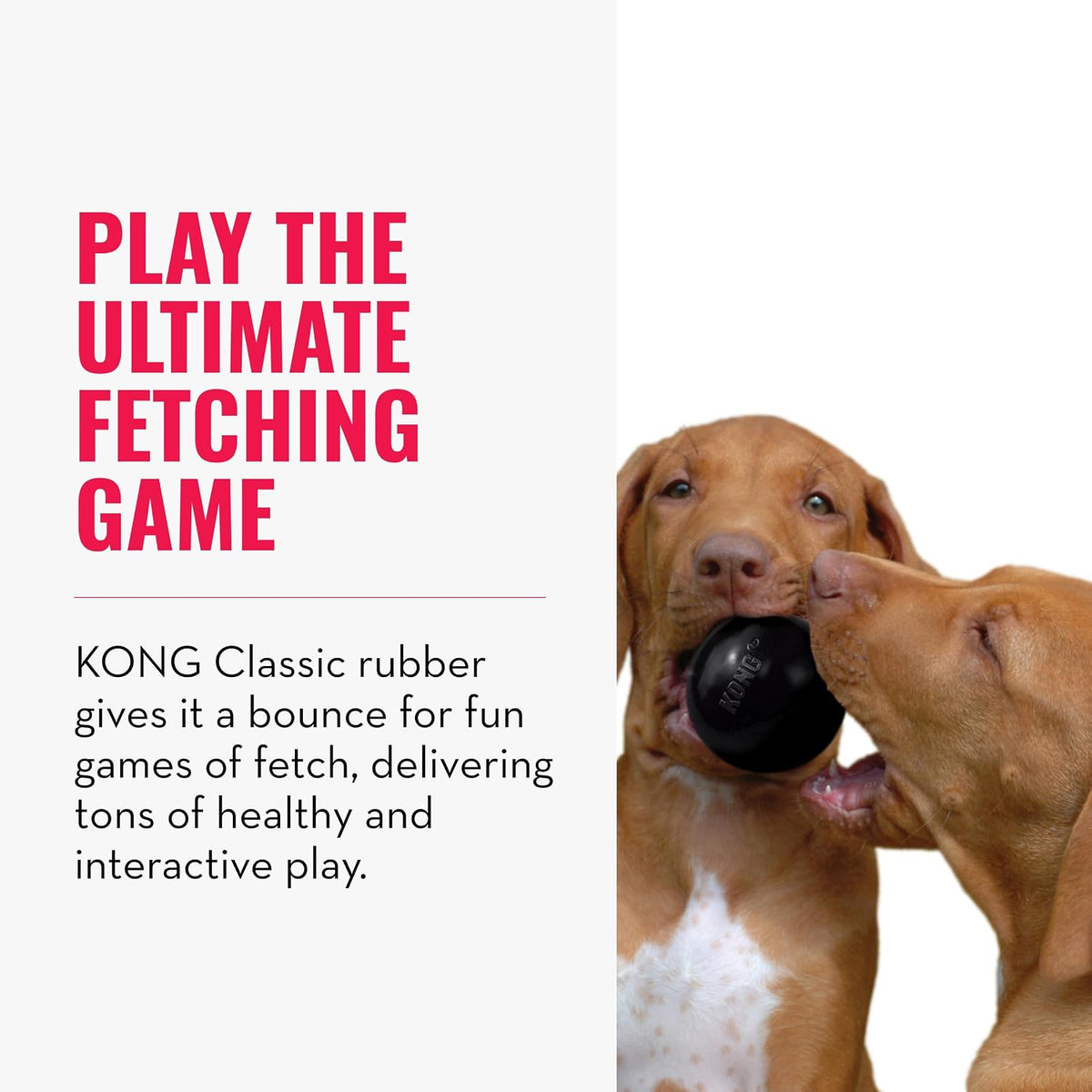 KONG Extreme Ball with Hole, Rubber Fetch Toy, Black, for Large/Medium Dogs | Made from KONG's Most Durable Extreme Rubber, a Fetch Ball with a Hole for Training & Interactive Play