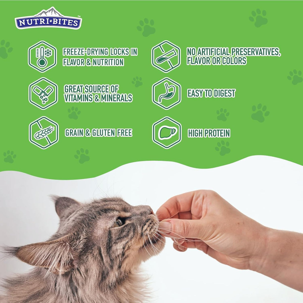 Nutri Bites Freeze Dried Beef Liver Dog & Cat Treats, Single Ingredient (2-Pack)