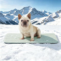 Dog Cooling Mat, 30" x 20" Non-Slip Self-Cooling Summer Pet Mat