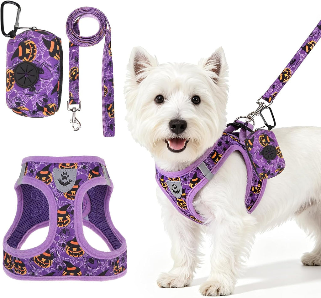 PAWCHIE Halloween Dog Harness and Leash Set,Step in No Pull Soft Pet Harness,Reflective Adjustable Puppy Vest for Small Dogs Cat,No Choke Harness Vest with Poop Bag Holder for Walking,Running,Purple S