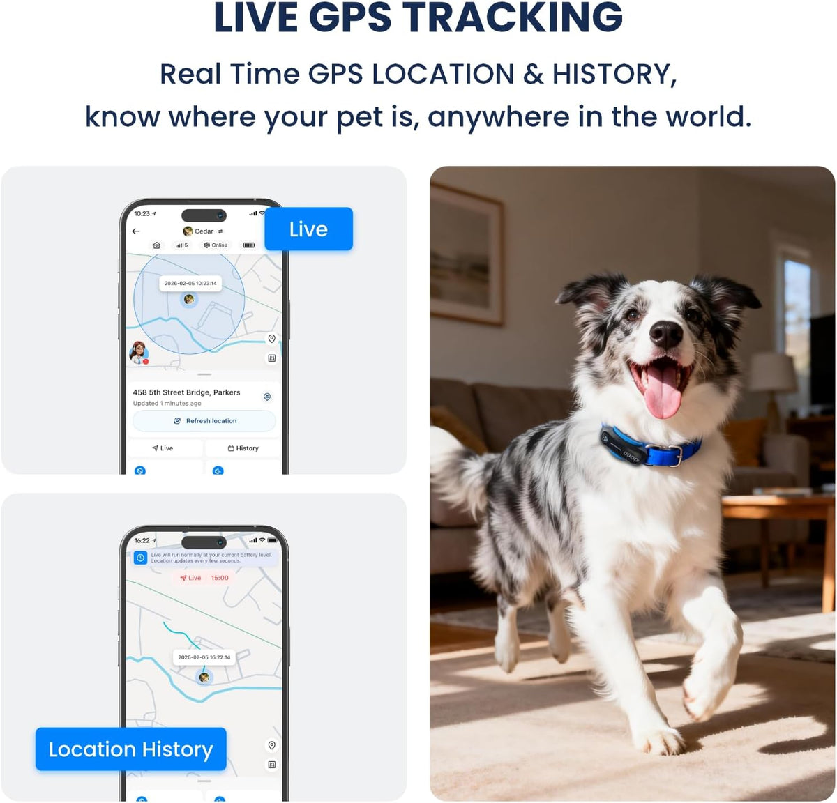 DBDD GPS Dog Tracker with Subscription,Virtual Fence&Health Monitor,IP67,BK