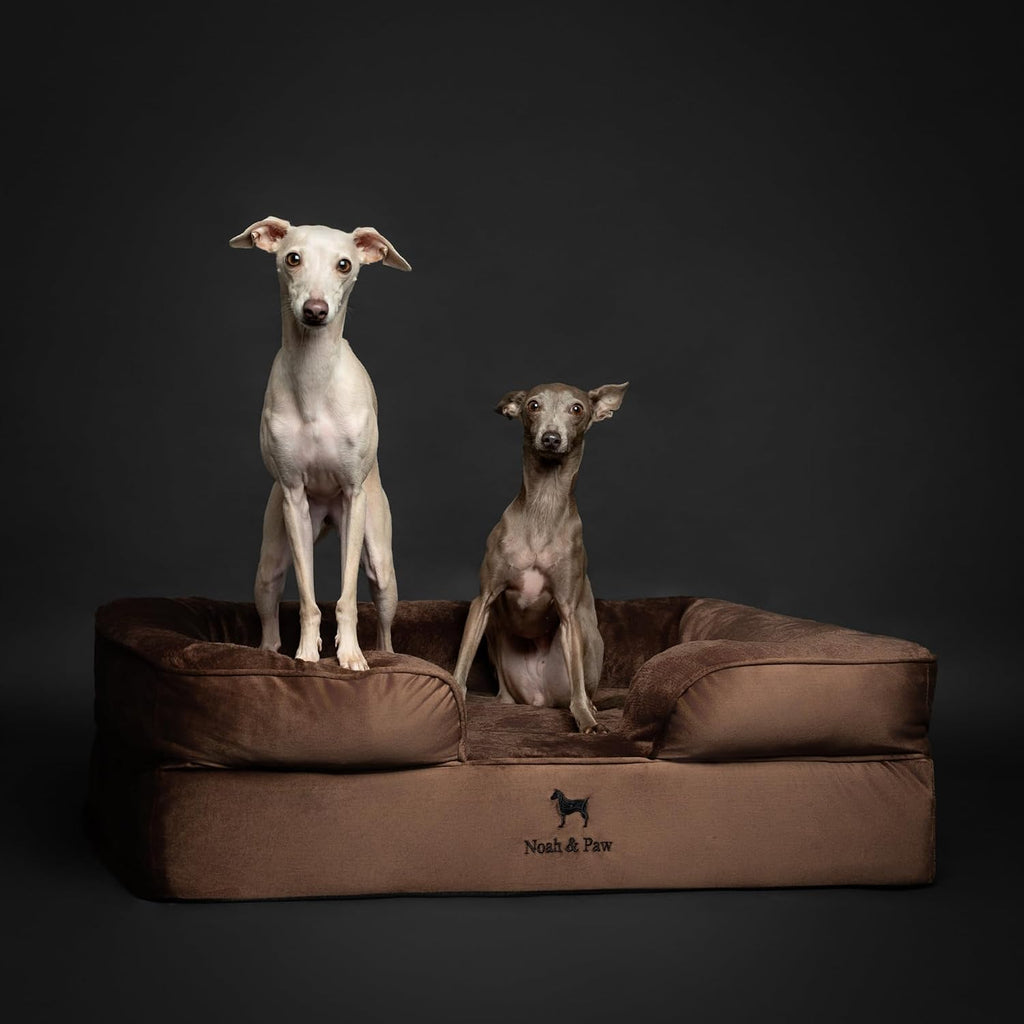 NOAH & PAW Dog Bed, Orthopedic Memory Cooling Foam (2X Base) 35x25x11in