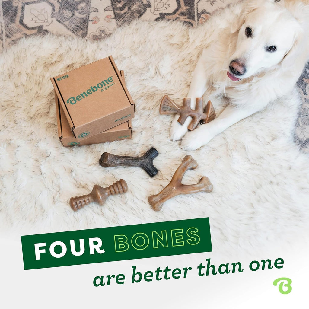 Benebone Large 4-Pack Dog Toys for Aggressive Chewers – Under 90 lbs | Durable, Multipack, Super Chewer, Made in USA, Dog Bones, Long-Lasting, A Size for Every Dog, Keeps Them Busy