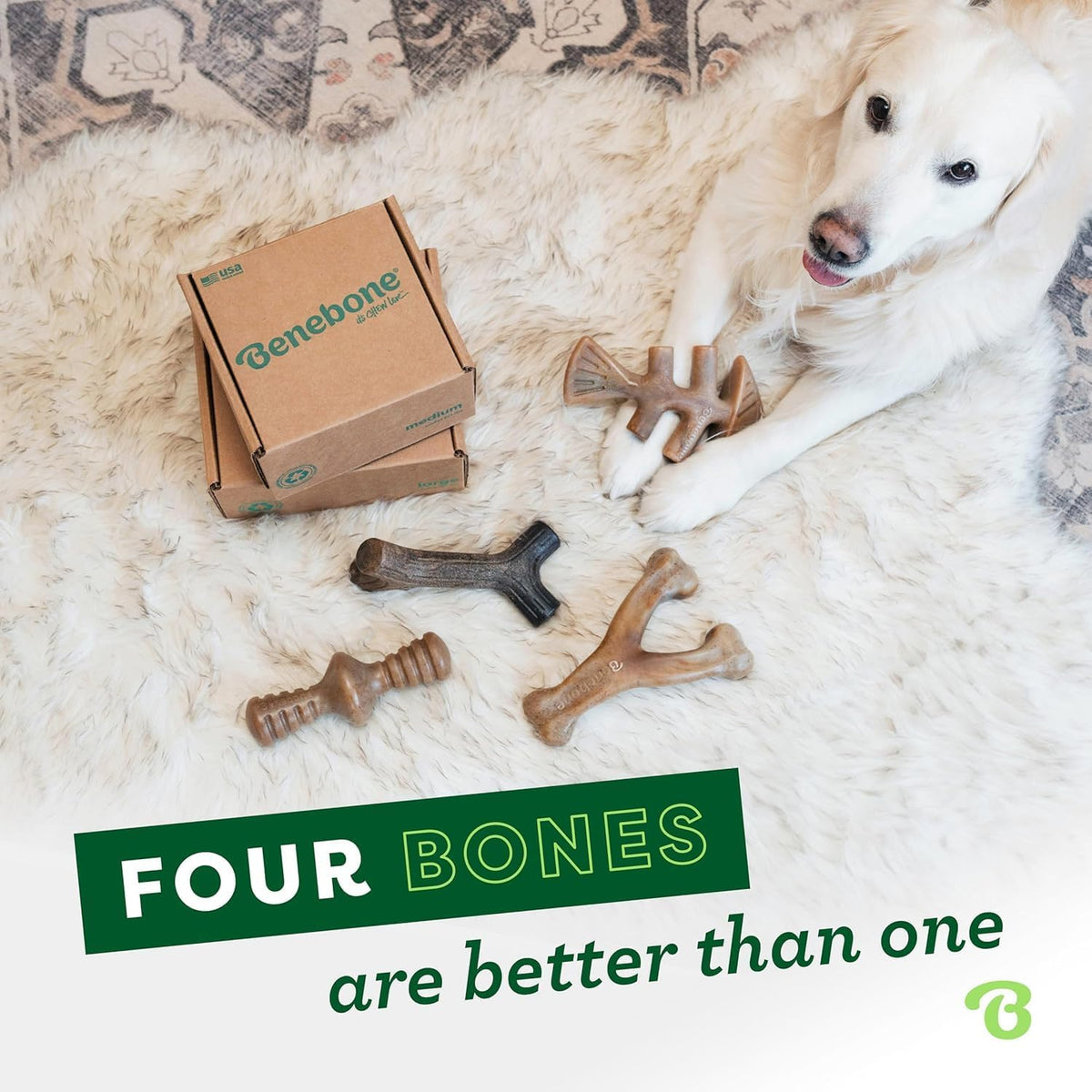 Benebone Large 4-Pack Dog Toys for Aggressive Chewers – Under 90 lbs | Durable, Multipack, Super Chewer, Made in USA, Dog Bones, Long-Lasting, A Size for Every Dog, Keeps Them Busy