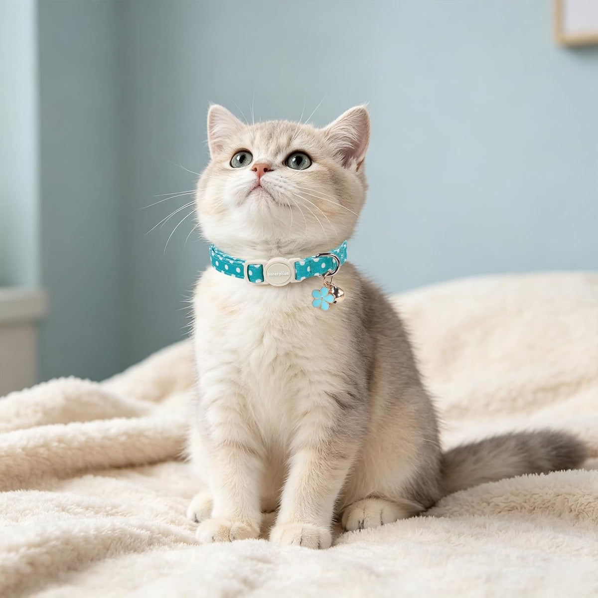 lionet paws 2 Pack Cat Collar Breakaway with Bells-Black & Teal