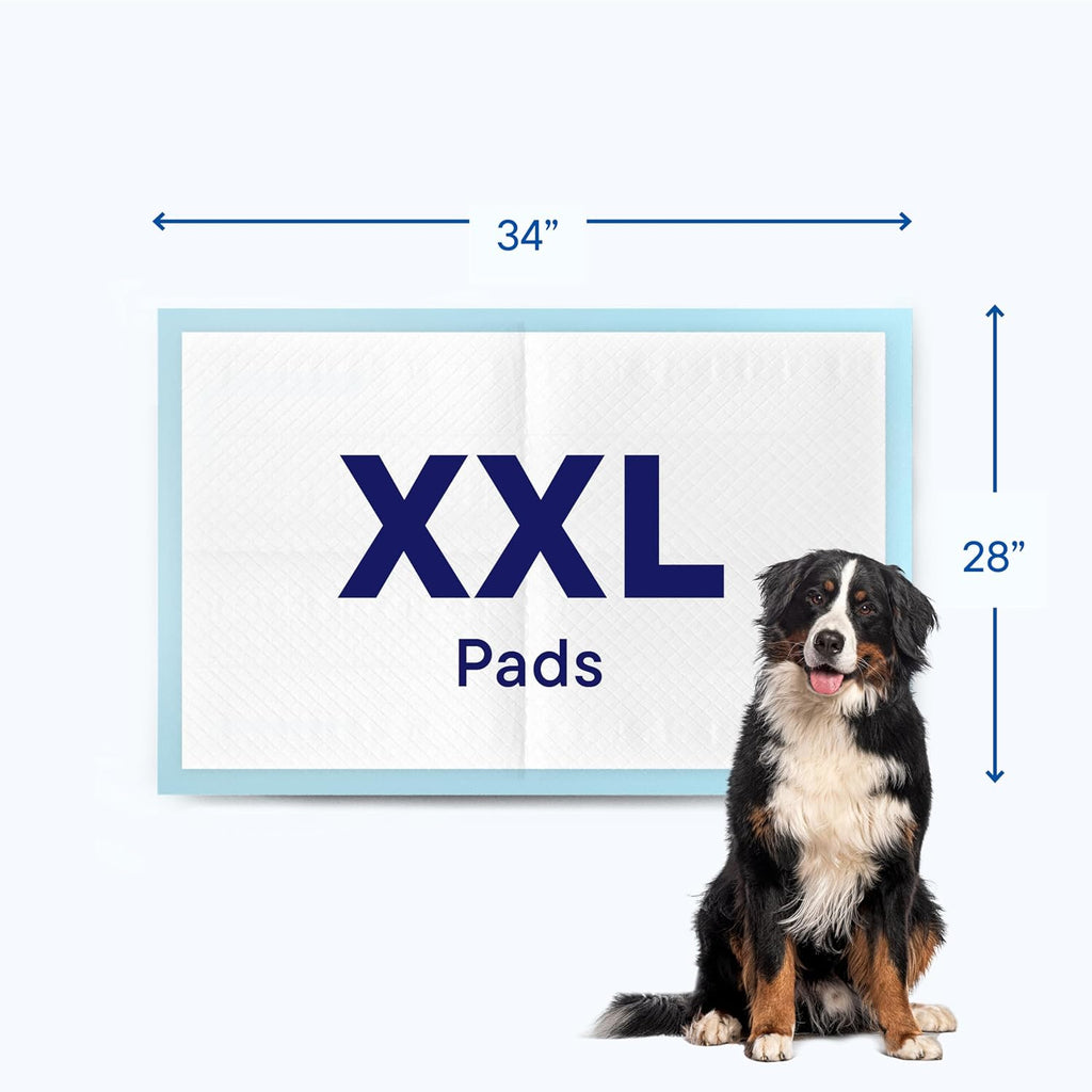 Puppy Pads XL 28x34 [100-COUNT] Dog Pads Extra Large 28" x 34" Leak-Proof Dog Pee Pads - Quick-Dry Puppy Pee Pads Pet Potty Training - Heavy Duty Super Absorbent Wee Wee Pads for Dogs Bulk -100 Pack | Leak-Proof Pee Pads - Extra Large Quick-Dry Dog Pad...