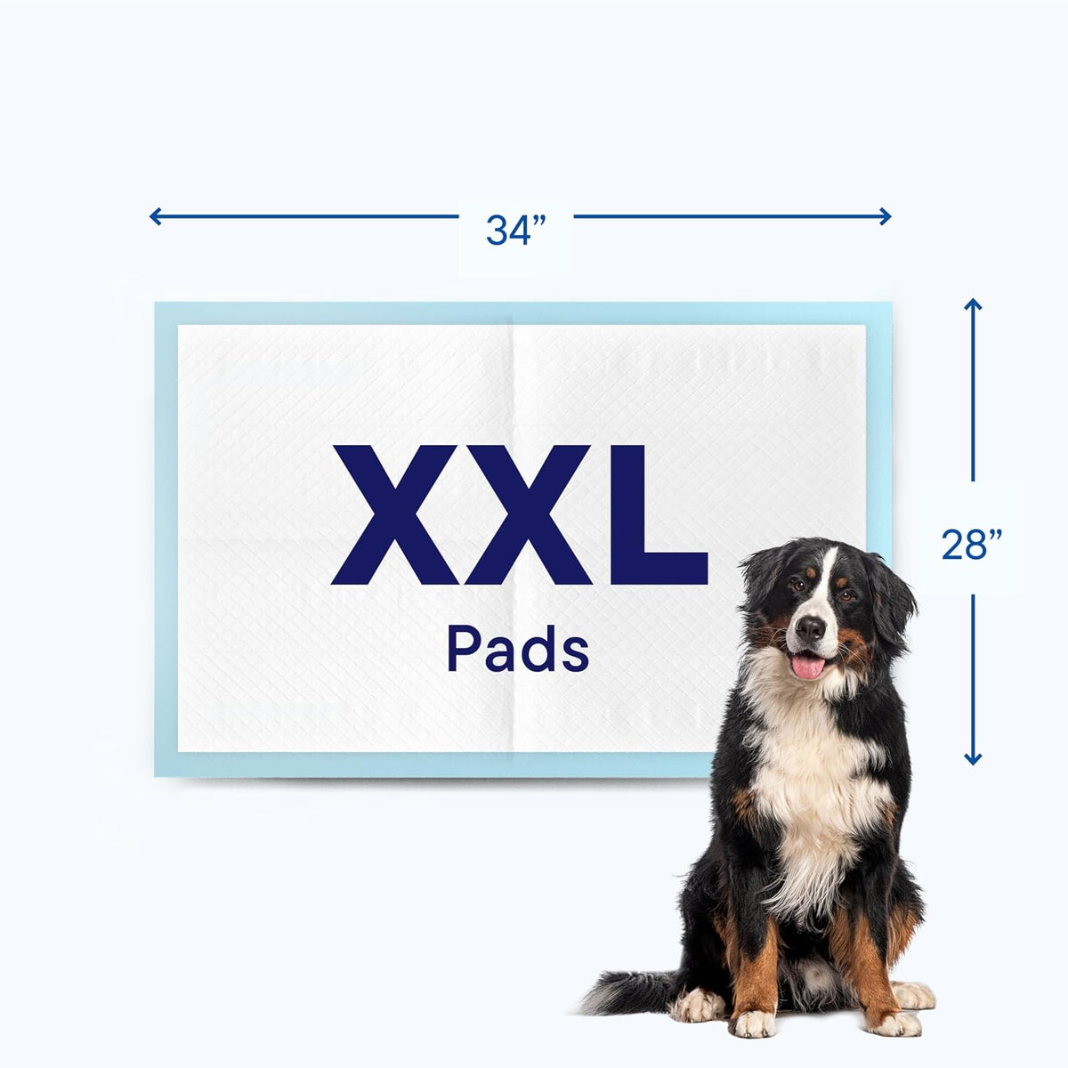 Puppy Pads XL 28x34 [100-COUNT] Dog Pads Extra Large 28" x 34" Leak-Proof Dog Pee Pads - Quick-Dry Puppy Pee Pads Pet Potty Training - Heavy Duty Super Absorbent Wee Wee Pads for Dogs Bulk -100 Pack | Leak-Proof Pee Pads - Extra Large Quick-Dry Dog Pad...