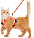 Cat Harness and Leash for Walking Escape Proof Soft Adjustable Cat Leash