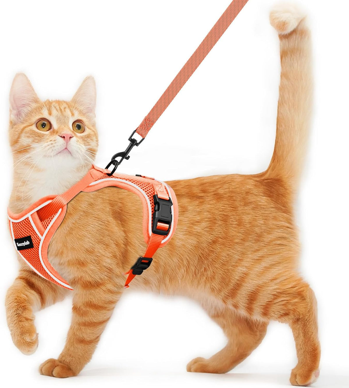 Cat Harness and Leash for Walking Escape Proof Soft Adjustable Cat Leash