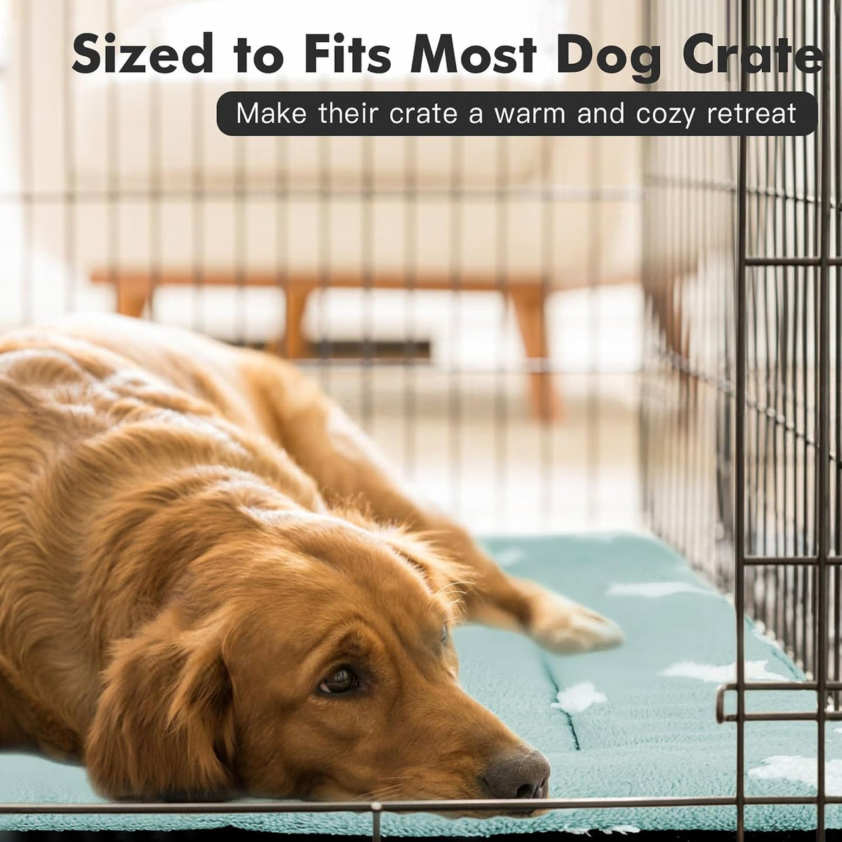 Mora Pets Dog Crate Pad Washable Dog Bed for Crate Flat Cat Pet Kennel Mat