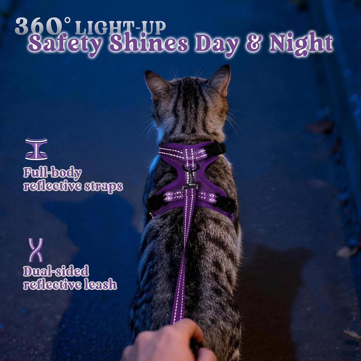rabbitgoo Cat Harness and Leash, Easy-on with Neck Buckle, Purple