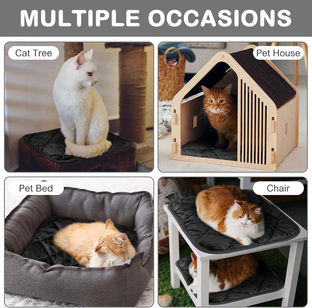 4 Pack Self Heating Cat Pad Self Warming Dog Mat, 16 x 16 Inch, Black