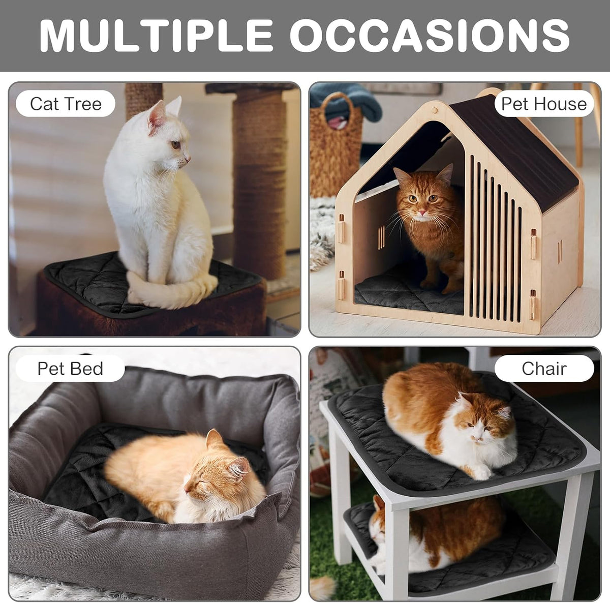 4 Pack Self Heating Cat Pad Self Warming Dog Mat, 16 x 16 Inch, Black