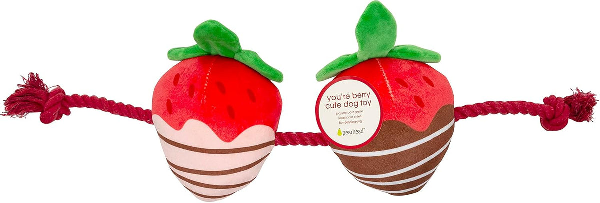 Pearhead “You’re Berry Cute” Valentine’s Day Dog Toy – Plush Strawberry Squeaker & Rope Tug Toy, Interactive Crinkle Chew Toy for Dogs, Festive Valentine Pet Gift