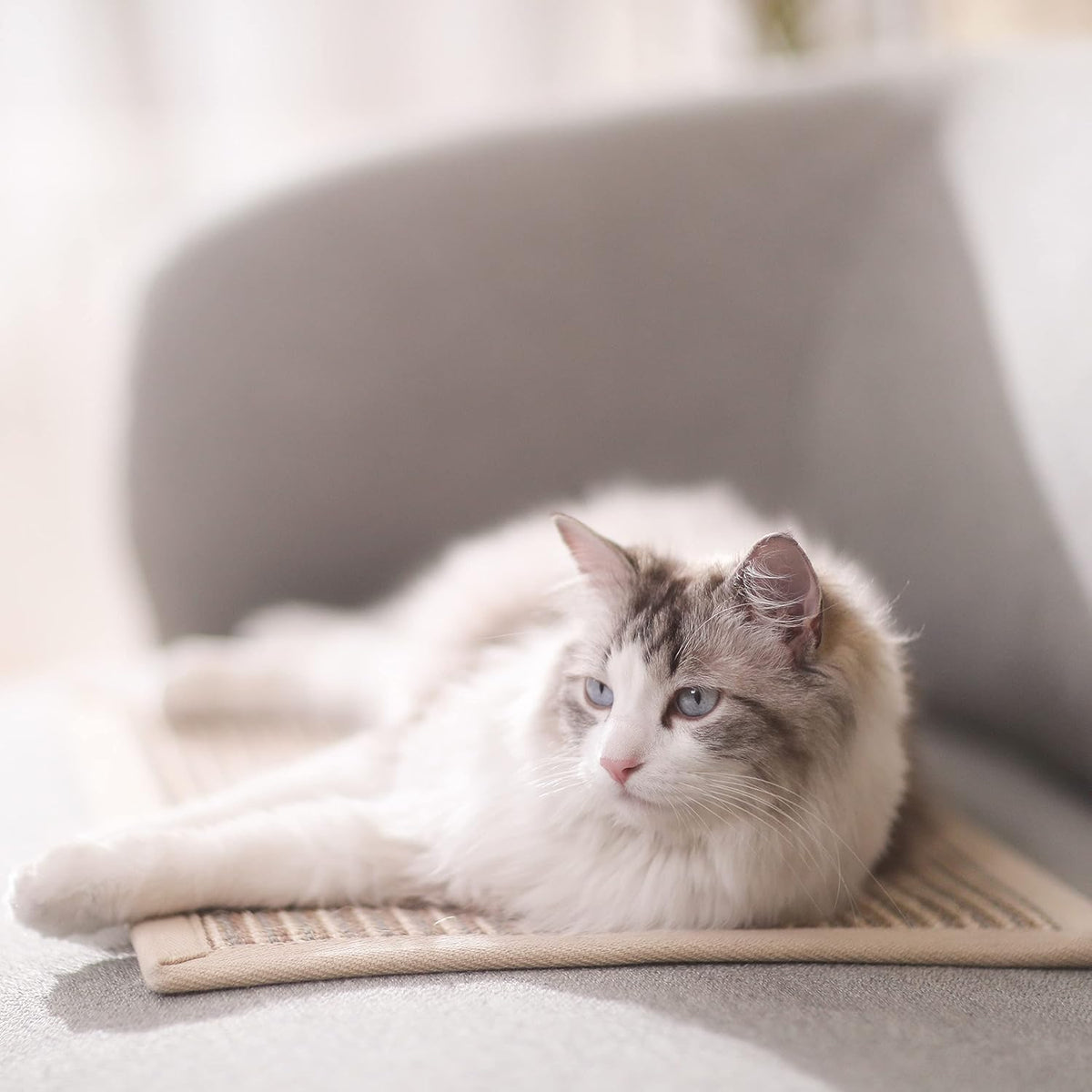 FUKUMARU Cat Scratcher Mat, 23.6 X 15.7 Inch Natural Sisal Cat Scratch Mat
