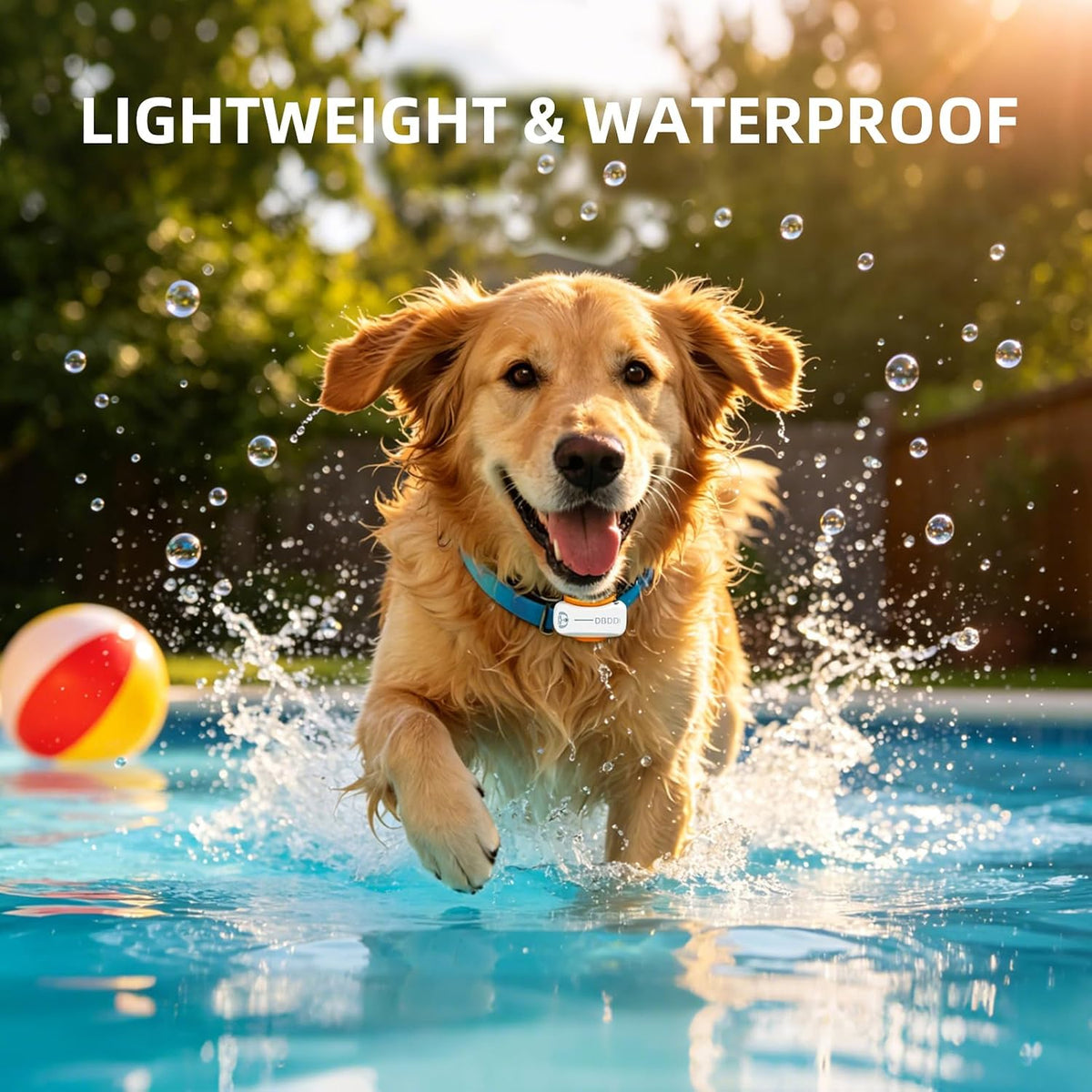 DBDD GPS Dog Trackers, 12-Mo Sub, Real-Time Loc, E-Fence, Health Monitor