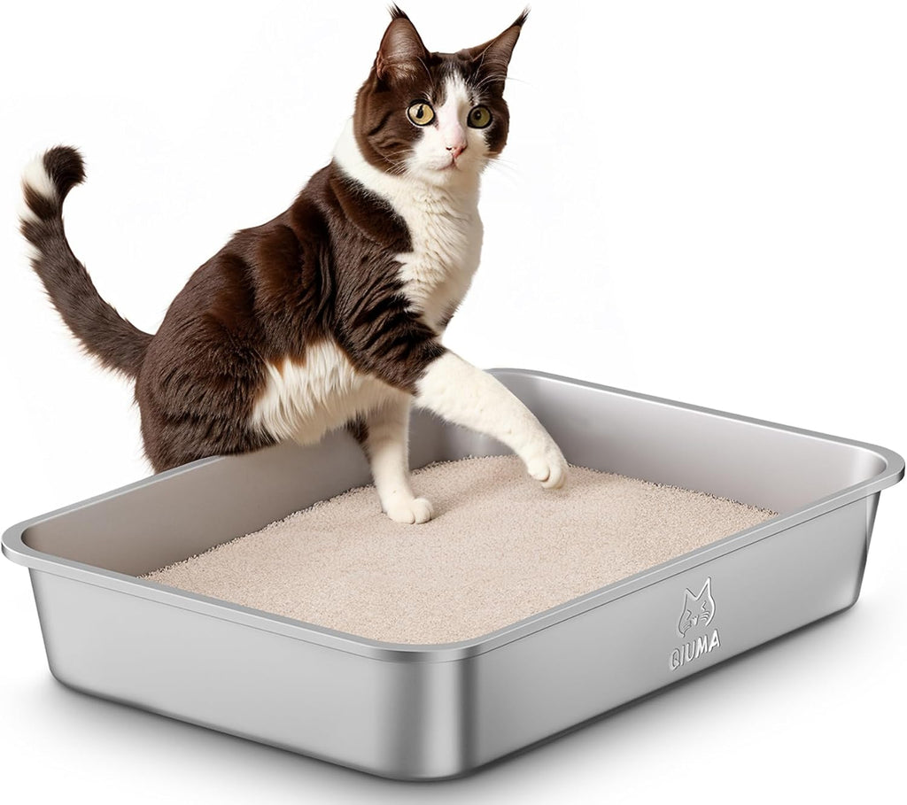 Qiuma Stainless Steel Litter Box, Large Cat Litter Box for Medium to Large Cats, Odor-Free, Non-Stick, Easy to Clean, 19.5"×13.6"×3.9", Low Entry for Kittens, Seniors, or Injured Cats