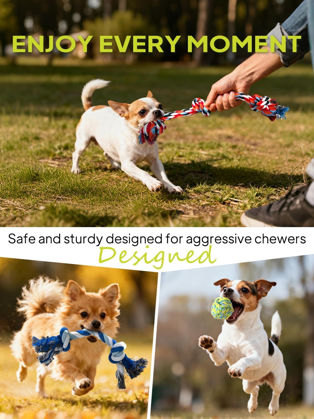 TwoEar Dog Rope Toy 9 Pack - Puppy Teething Toys for Small Medium Breed | Indestructible Dog Chew Toys for Aggressive Chewers - Cotton Tug of War Dog Toys for Boredom, Teeth Clean