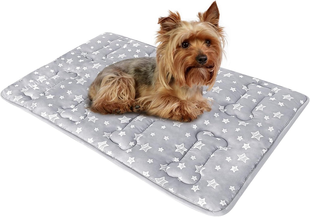 Dog Crate Mat (24" X 18"), Soft Dog Bed Pad Mat with Cute Prints