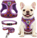 SCENEREAL Halloween Small Dog Harness Collar and Leash Set, Step-in No Pull